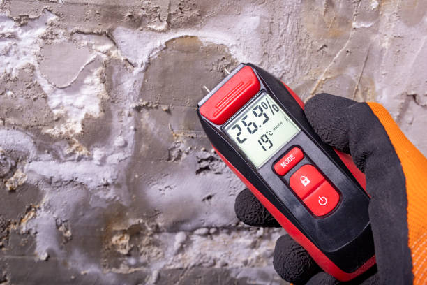 Best Post-Flood Mold Remediation in Eastport, NY